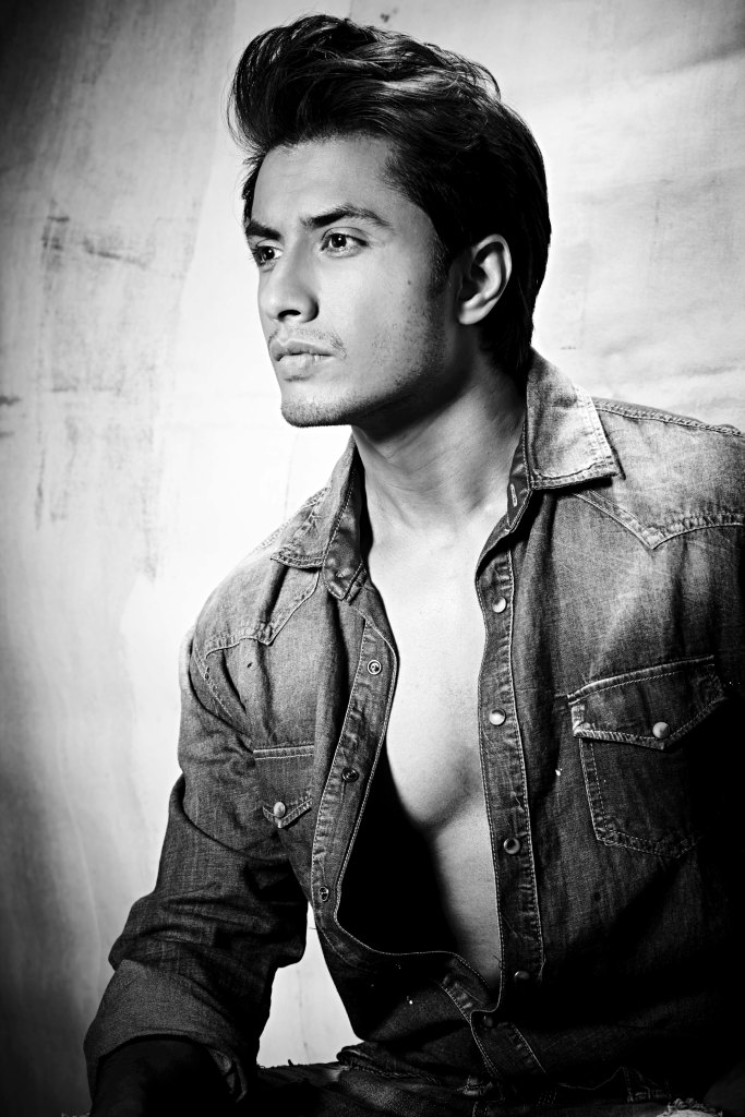 Ali Zafar 2013 list